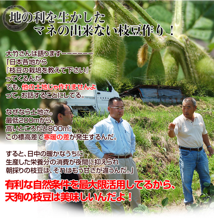 群馬県産 天狗印枝豆 味緑