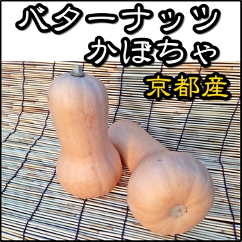 バターナッツかぼちゃ