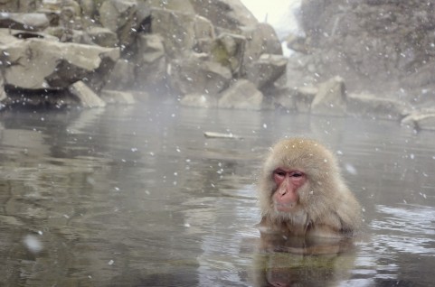 温泉