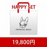 CRYSTAL BALL 2014 HAPPY SET1