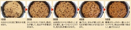 酵素玄米