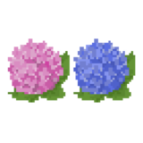 アジサイ(紫陽花)のドット絵イラスト フリー素材